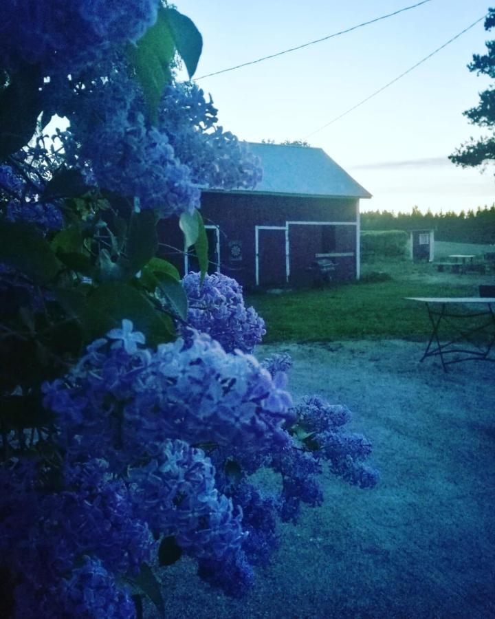 Willa Mustijoki Laukkoski ภายนอก รูปภาพ