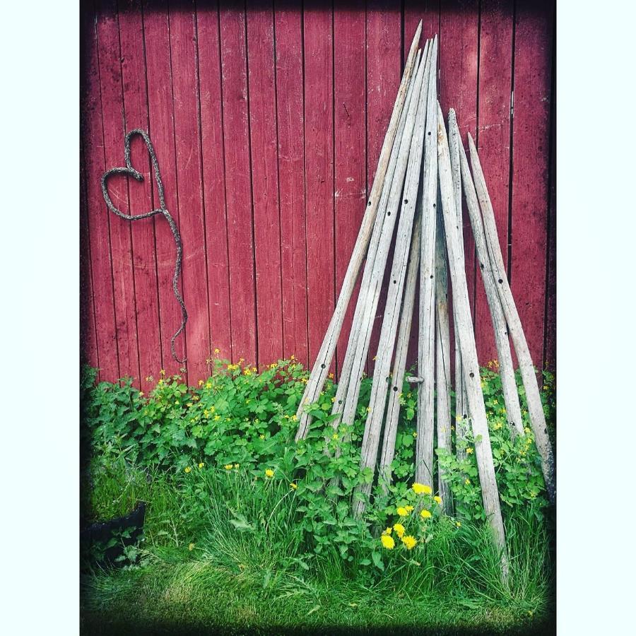 Willa Mustijoki Laukkoski ภายนอก รูปภาพ